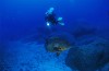 Diving Mediterraneo - Foto Franco Banfi