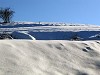 neve in alta Val Trebbia in zona Cerignale