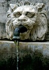 fontana testa di leone