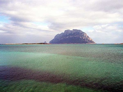 area marina Capo Coda Cavallo e Tavolara
