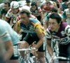 Saronni al Giro d'Italia