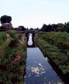 corso d'acqua a Bomporto (2)
