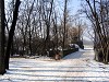 neve al Parco della Galleana di Piacenza