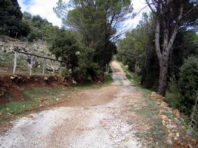 sentieri per escursioni e passeggiate in Ogliastra
