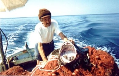 Pescaturismo: in barca con i pescatori
