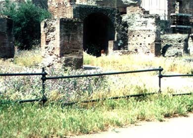 Roma antica: Horrea Vespasiani ai Fori Romani