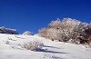 paesaggio con neve in Alta val d'Arda