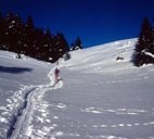 sci di fondo in valle d'Aosta