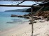 Immersioni all’isola dell’Asinara