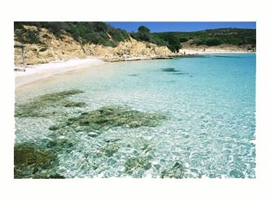 Trasparenze del mare dell'Asinara